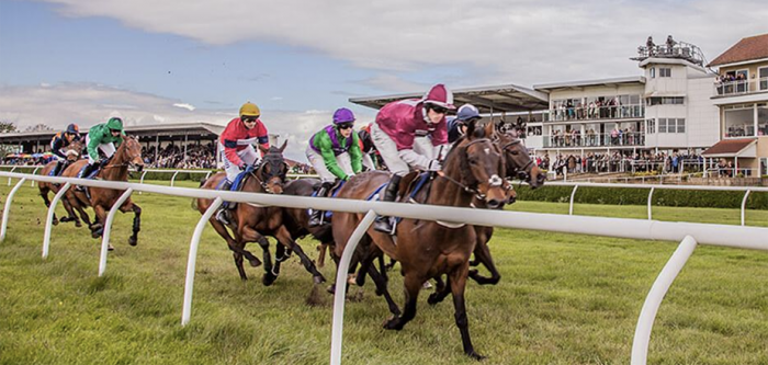 Kingwell Hurdle Day at Wincanton Race Course